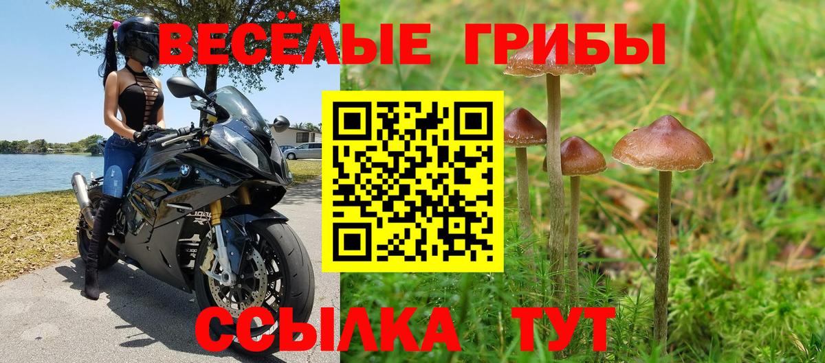 Псилоцибиновые грибы прущие грибы  Вход с VPN  Елизово 